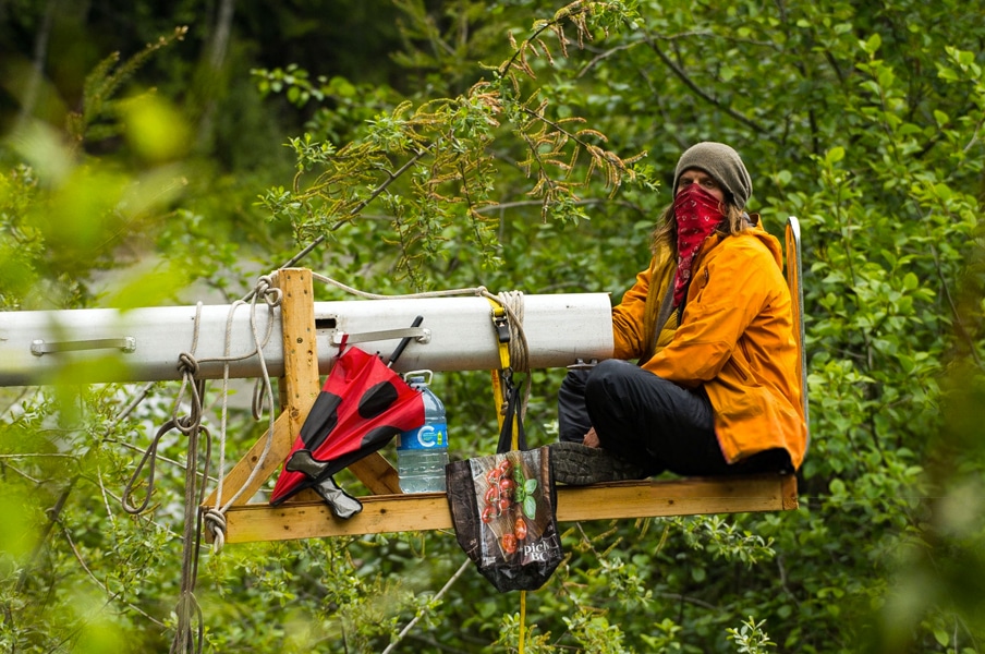 Fairy-Creek-Old-Growth-Blockade-Protestor