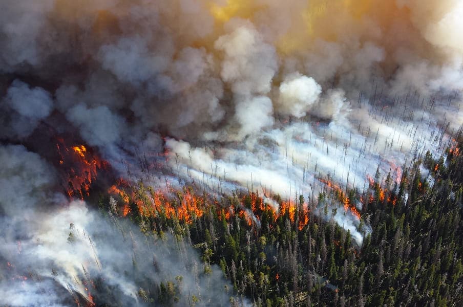 Track The Wildfire Season With These Updating Maps