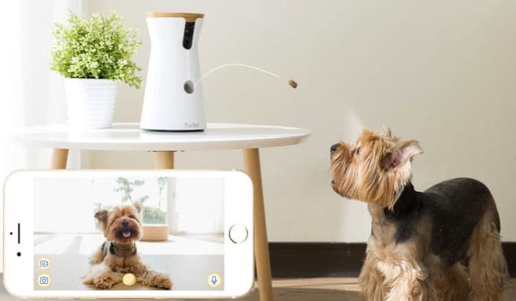 Furbo Smart Home Pet Camera