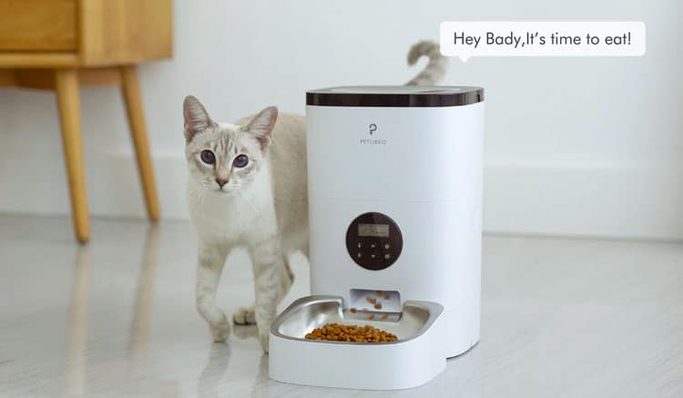 Smart Pet Cat Feeder