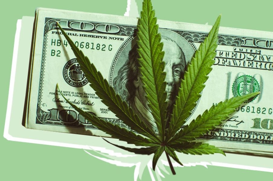 Is Starting a Profitable Cannabis Business Possible in 2021